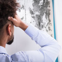 Delaware toxic mold lawyers help victims suffering from mold exposure.